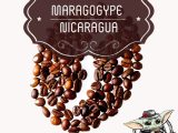 Кофе в зёрнах “Maragogype Nicaragua” (100гр.)